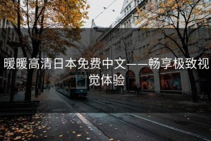 暖暖高清日本免费中文——畅享极致视觉体验