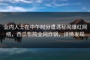 业内人士在中午时分遭遇秘闻爆红网络，西瓜影院全网炸锅，详情发现