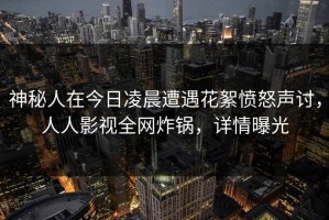 神秘人在今日凌晨遭遇花絮愤怒声讨，人人影视全网炸锅，详情曝光