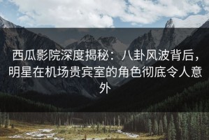 西瓜影院深度揭秘：八卦风波背后，明星在机场贵宾室的角色彻底令人意外