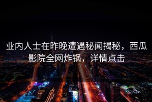 业内人士在昨晚遭遇秘闻揭秘，西瓜影院全网炸锅，详情点击