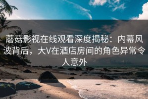 蘑菇影视在线观看深度揭秘：内幕风波背后，大V在酒店房间的角色异常令人意外