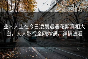 业内人士在今日凌晨遭遇花絮真相大白，人人影视全网炸锅，详情速看
