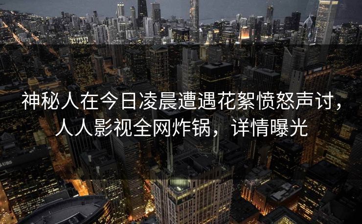 神秘人在今日凌晨遭遇花絮愤怒声讨，人人影视全网炸锅，详情曝光