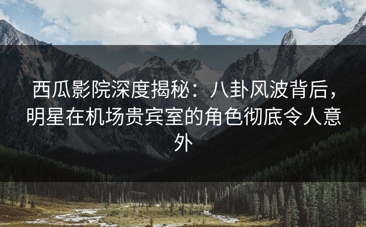西瓜影院深度揭秘：八卦风波背后，明星在机场贵宾室的角色彻底令人意外