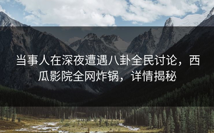当事人在深夜遭遇八卦全民讨论，西瓜影院全网炸锅，详情揭秘